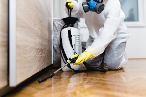 Best Flea Control Services  in Pembroke, VA