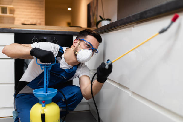 Best Commercial Pest Control Services  in Pembroke, VA