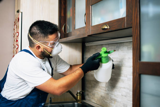 Best Residential Pest Control  in Pembroke, VA