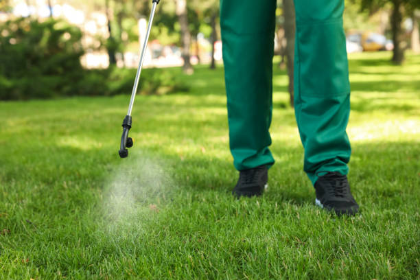 Trusted Pembroke, VA Pest Control Experts