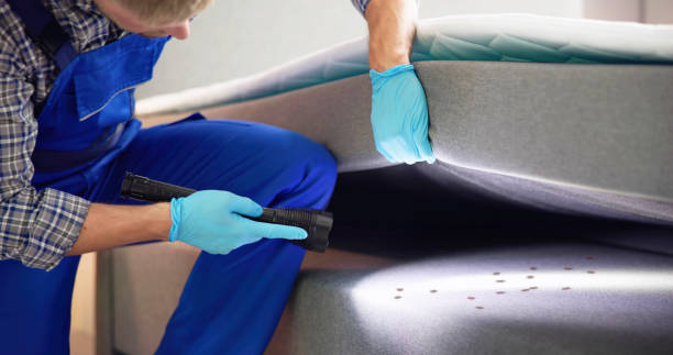 Best Termite Control Services  in Pembroke, VA