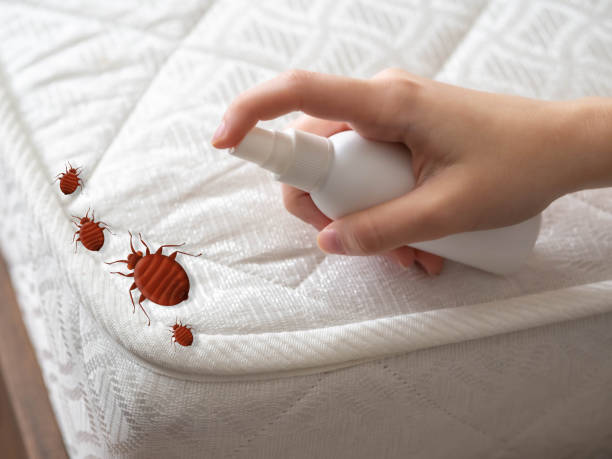 Best Best Pest Control Near Me  in Pembroke, VA