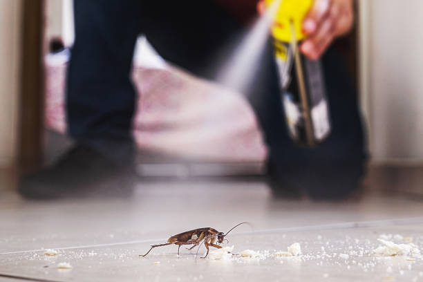 Reliable Pembroke, VA Pest Control Solutions