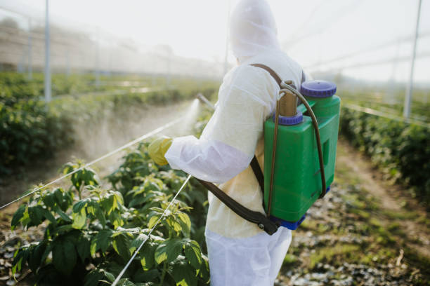 Best Best Pest Control Companies  in Pembroke, VA